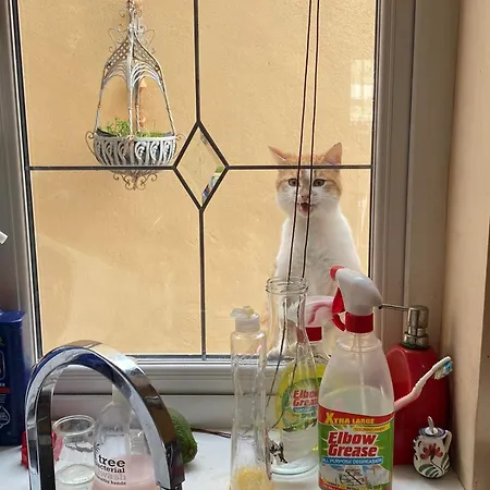 Glendale House Oda ve Kahvaltı Monaghan