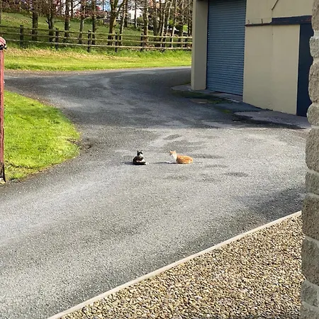 Glendale House Monaghan
