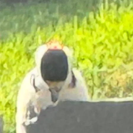 B&B Glendale House 4*