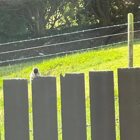 Glendale House 4* 모니건