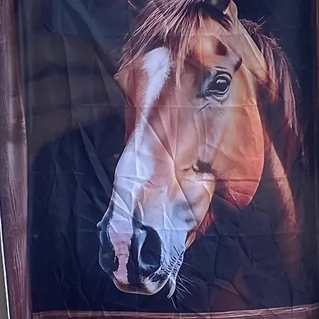 Glendale House 모니건