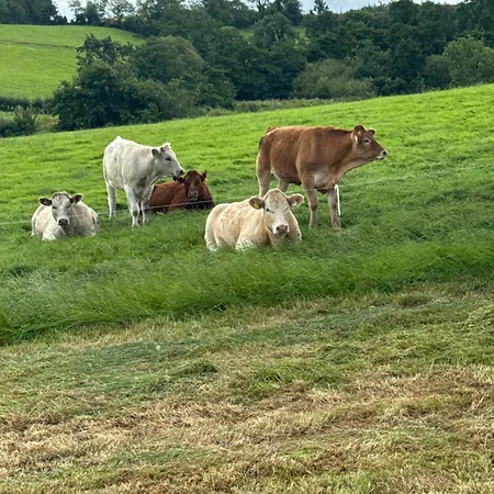 B&B Glendale House 4*