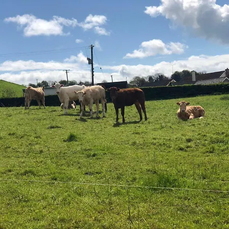 B&B Glendale House 4*