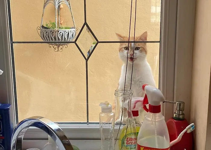 Glendale House 住宿加早餐酒店 莫纳汉