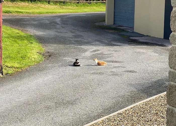 Glendale House 莫纳汉