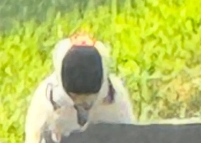 住宿加早餐酒店 Glendale House 4*