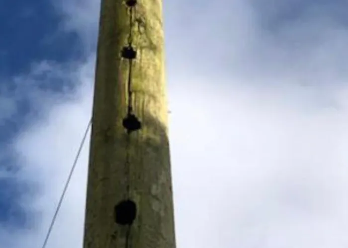 住宿加早餐酒店 Glendale House