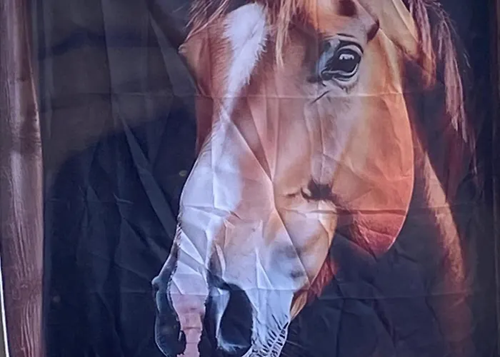 Glendale House 莫纳汉