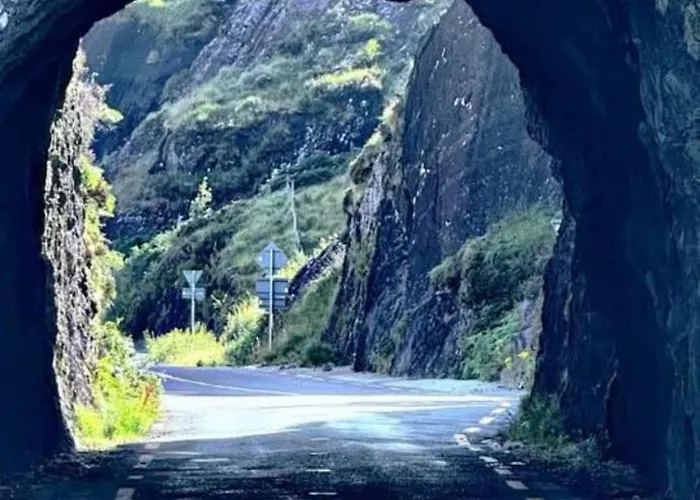 Glendale House 住宿加早餐酒店 4*