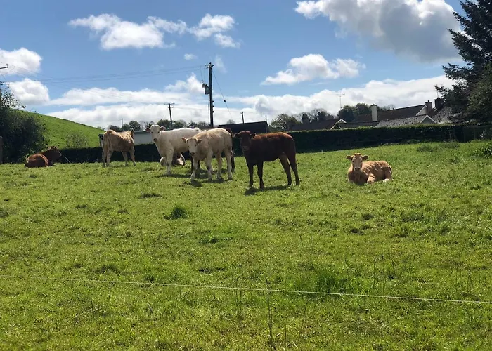 住宿加早餐酒店 Glendale House 4*