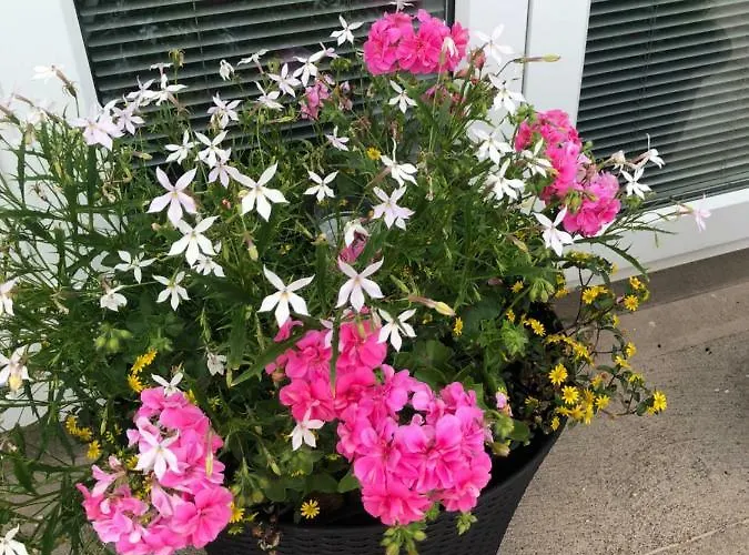 Glendale House 住宿加早餐酒店